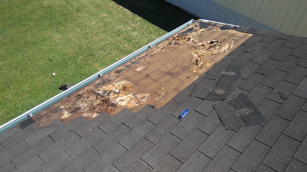 Emergency Roofing Services Roof Tarping Hazel Park