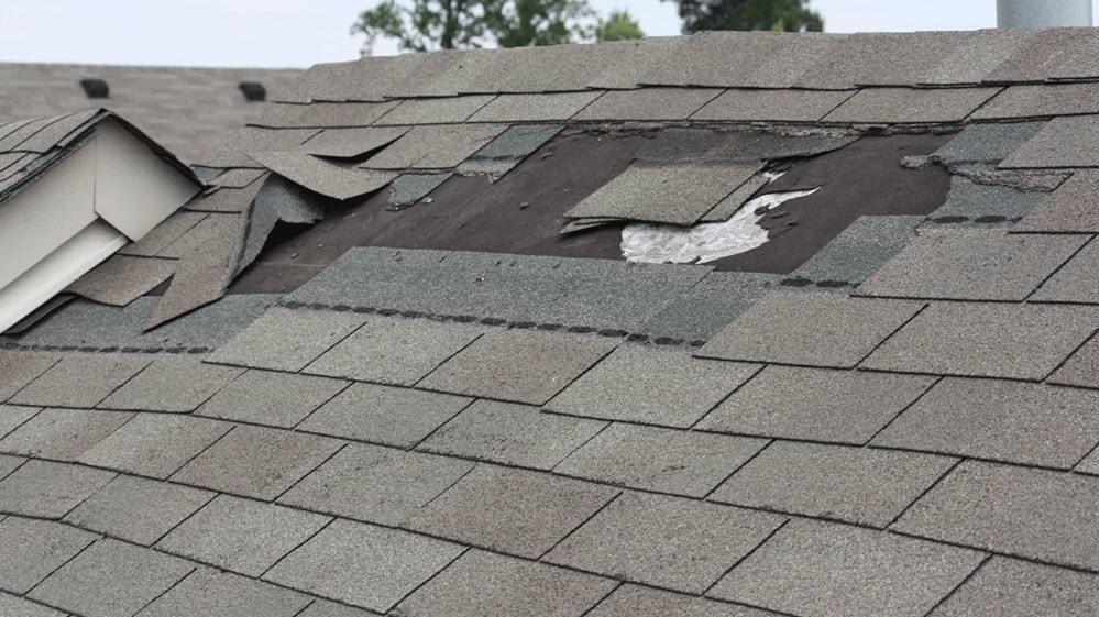 Roof Replacement Services Hazel Park